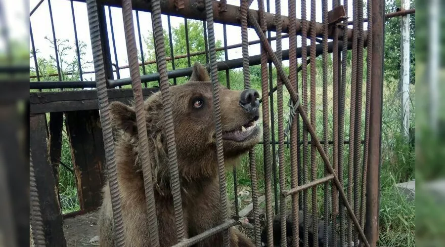  &copy;&nbsp;Фото из группы &laquo;Ростов Главный - новости Ростова-на-Дону&raquo; &laquo;ВКонтакте&raquo;, vk.com/rostovnadonu