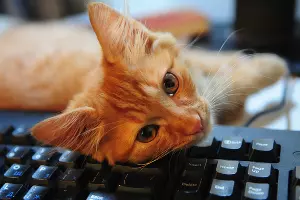  &copy;&nbsp;Фото Юга.ру