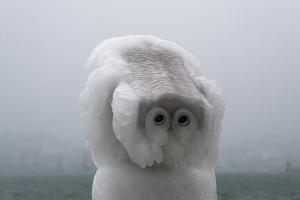  &copy;&nbsp;фото Sega Black-Sea https://vk.com/segablacksea