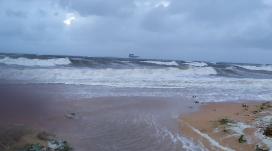  © Фото vk.com/afanastja