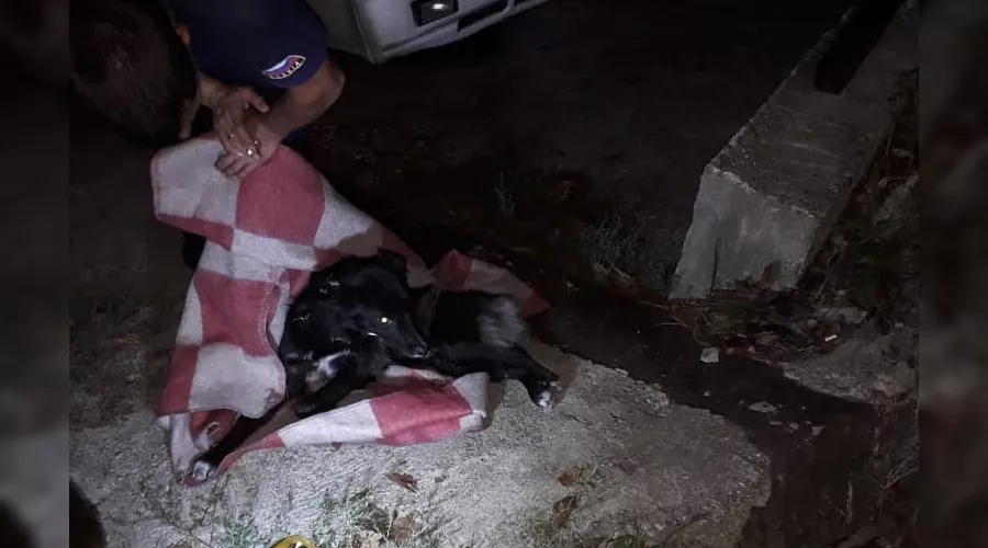  &copy;&nbsp;Фото со страницы Алексея Одерова в инстаграме, instagram.com/alekseioderov