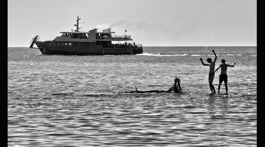  &copy;&nbsp;Скриншот фото из письма от Дмитрия Фисенко