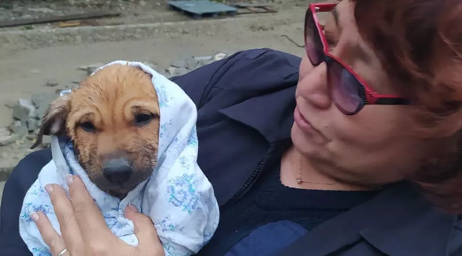  &copy;&nbsp;Фото из инстаграма начальника МБУ ПАСС &laquo;Служба спасения&raquo; Новороссийска Алексея Одерова, instagram.com/alekseioderov