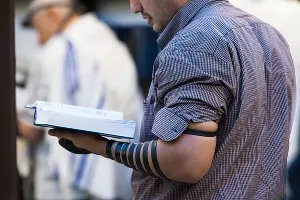 В краснодарской синагоге &copy;&nbsp;Фото Елены Синеок, Юга.ру