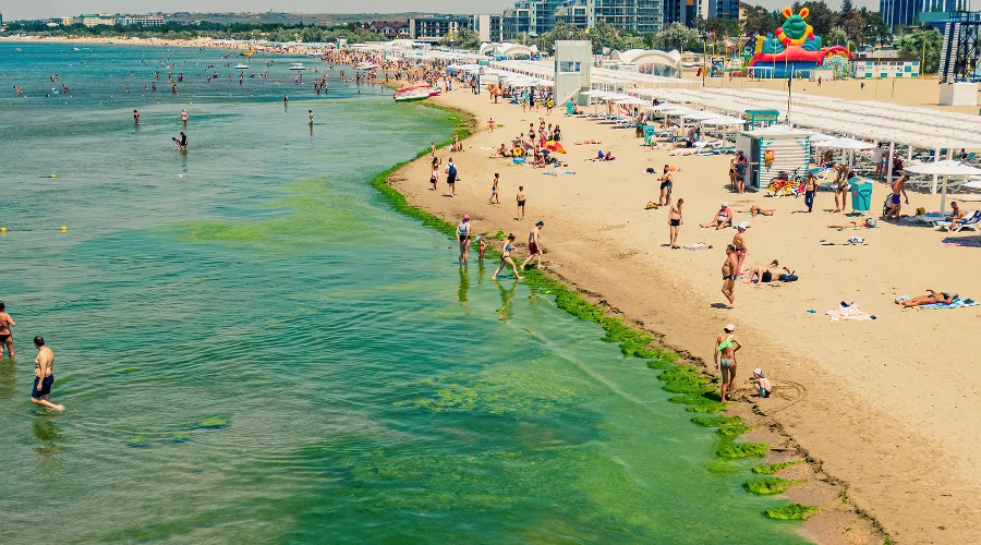  &copy;&nbsp;Фото Антона Быкова, Юга.ру