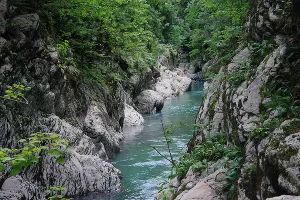 Каньон «Чертовы ворота» в Тисо-самшитовой роще Сочи &copy;&nbsp;Фото Марины Солошко, Юга.ру