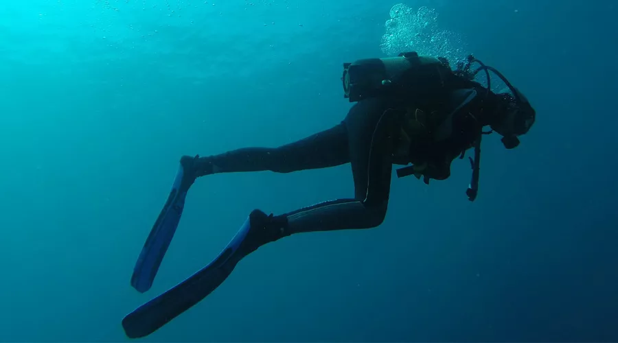  &copy;&nbsp;Фото с сайта pixabay.com