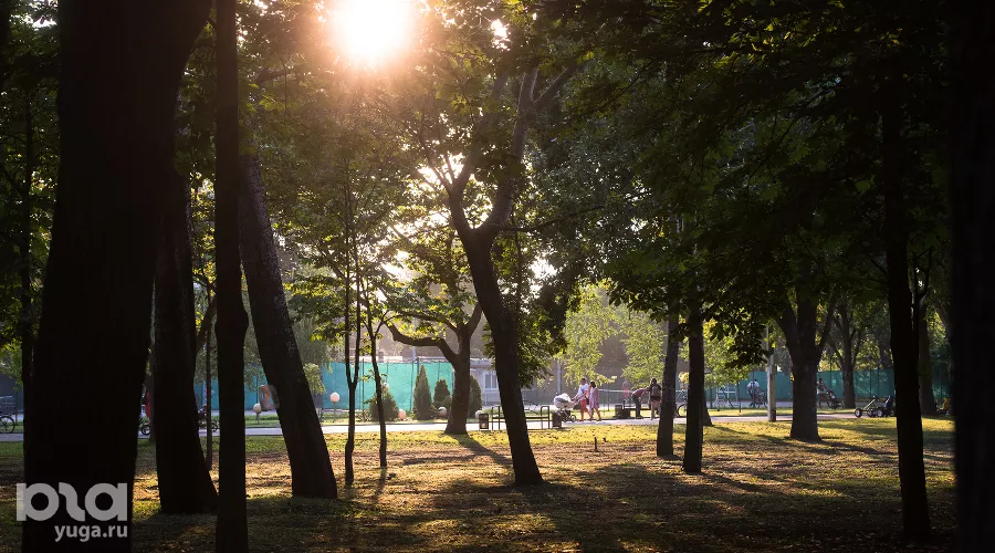  &copy;&nbsp;Фото Елены Синеок, Юга.ру