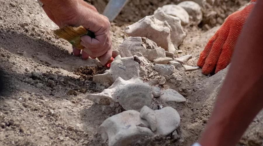  &copy;&nbsp;Фото инфоцентра &laquo;Крымский мост&raquo;