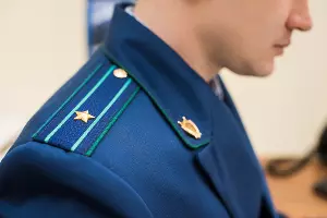  &copy;&nbsp;Фото Елены Синеок, Юга.ру