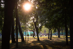 Парк «Солнечный остров» © Фото Елены Синеок, Юга.ру