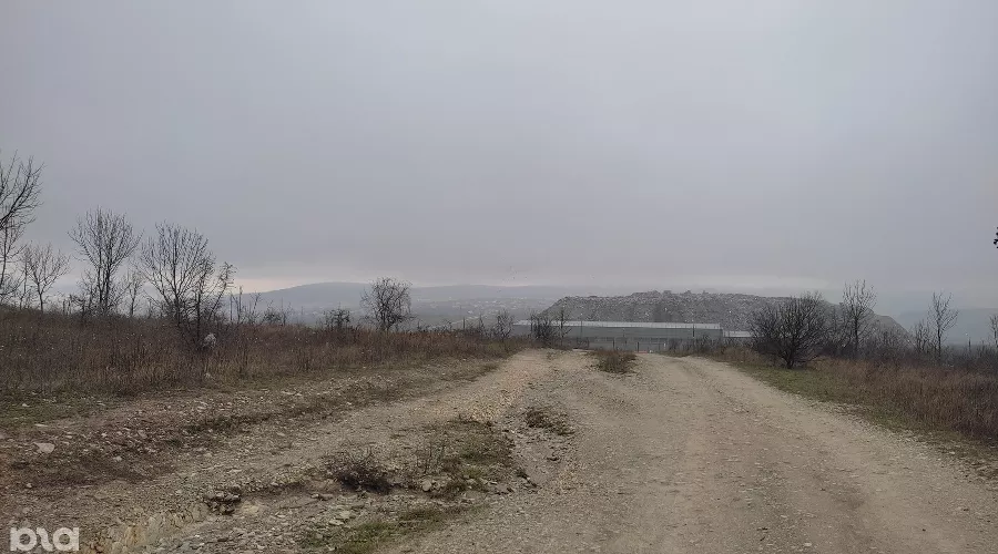  &copy;&nbsp;Фото Иолины Грибковой, Юга.ру