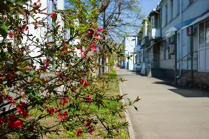 Краснодар на карантине &copy;&nbsp;Фото Евгения Мельченко, Юга.ру