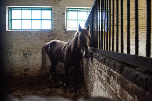  © Фото Елены Синеок, Юга.ру
