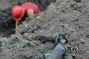  &copy;&nbsp;Фото пресс-службы администрации Краснодара