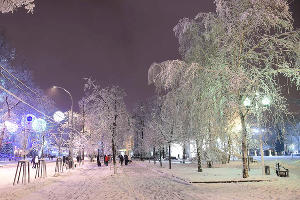 Снегопад в Краснодаре © Фото Михаила Ступина, Юга.ру