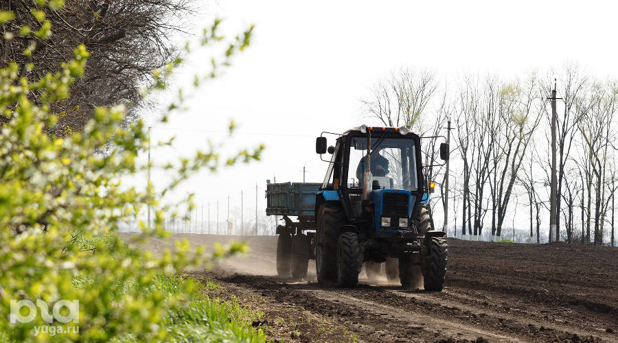  © Фото Виталия Тимкива, Юга.ру
