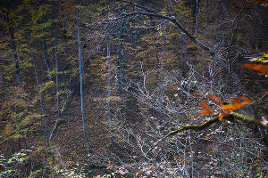 Водопады Руфабго в Адыгее &copy;&nbsp;Елена Синеок, ЮГА.ру