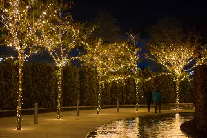 Парк «Краснодар»  с новогодней подсветкой &copy;&nbsp;Фото Елены Синеок, Юга.ру