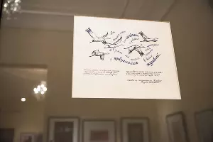  &copy;&nbsp;Елена Синеок, Юга.ру