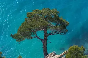 Веломаршрут из Кабардинки в Голубую бухту Геленджика &copy;&nbsp;Фото Романа Кокорина