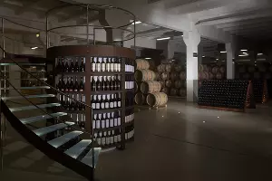  &copy;&nbsp;Фото пресс-службы &laquo;Фанагории&raquo;