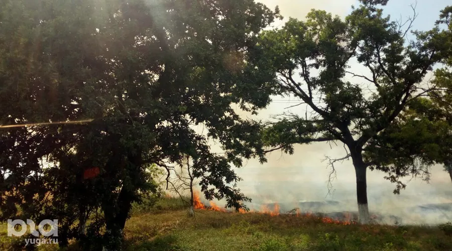  &copy;&nbsp;Фото Евгения Мельченко, Юга.ру