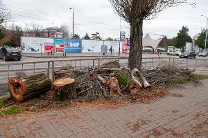  &copy;&nbsp;Фото Дмитрия Пославского, Юга.ру