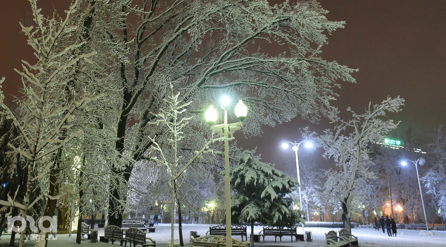Снегопад в Краснодаре &copy;&nbsp;Фото Михаила Ступина, Юга.ру
