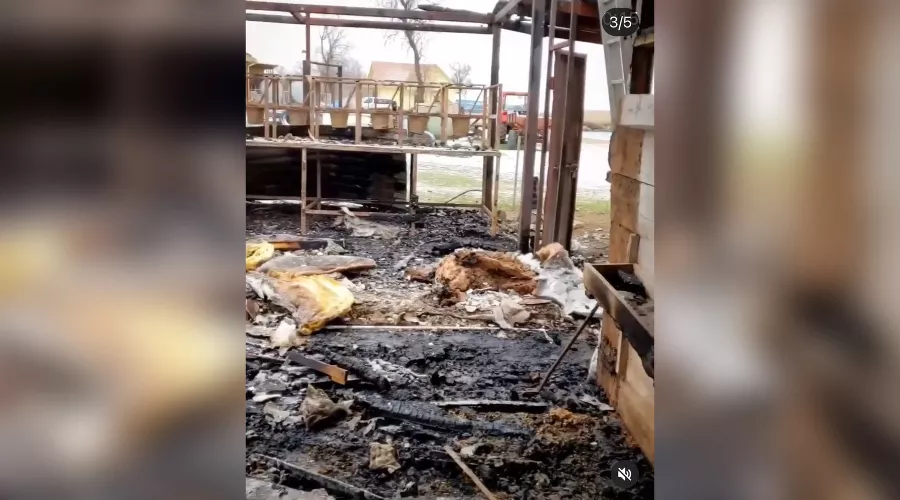  &copy;&nbsp;Скриншот со страницы instagram.com/kozahutor