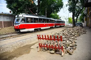  &copy;&nbsp;Фото Елены Синеок, Юга.ру