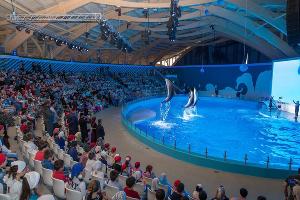  © Фото со страницы vk.com/ramzan