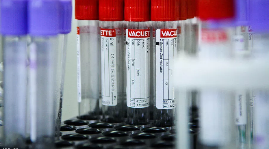  &copy;&nbsp;Фото Елены Синеок, Юга.ру