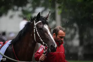  &copy;&nbsp;Елена Синеок, ЮГА.ру