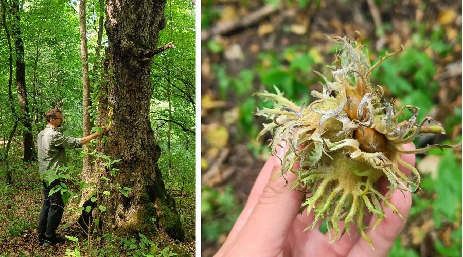  © Коллаж из скриншотов фото из телеграм-канала «Природа и люди»