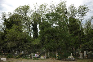 Староверы отметили Радоницу на кладбище центре Олимпийского парка в Сочи  &copy;&nbsp;Фото Михаила Мордасова, Юга.ру