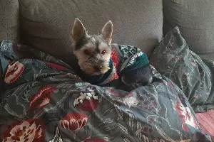  &copy;&nbsp;Фото Анны Петровой, Юга.ру