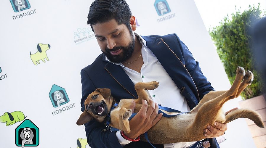 Рикардо Лазо и Бусинка © Фото со страницы vk.com/povodog_fvd