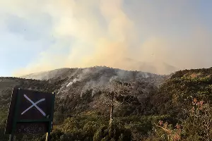 Пожар в заповеднике «Утриш» &copy;&nbsp;Фото Виталия Кавтарадзе