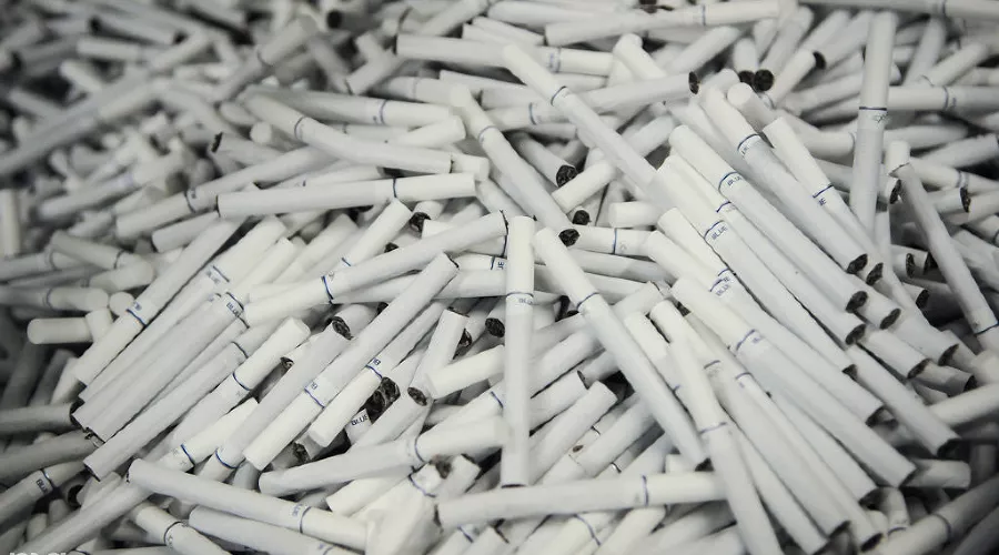  &copy;&nbsp;Фото Елены Синеок, Юга.ру