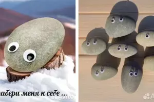 Камни-питомцы &copy;&nbsp;коллаж из скриншотов с сайта Авито