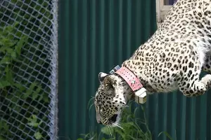  &copy;&nbsp;Фото Центра природы Кавказа