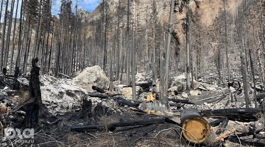  &copy;&nbsp;Фото Марины Солошко, Юга.ру