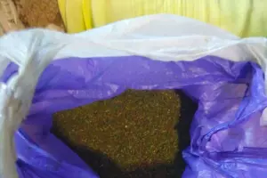  &copy;&nbsp;Фото пресс-службы ГУ МВД РФ по Ставропольскому краю