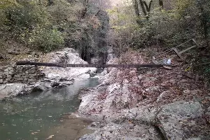  &copy;&nbsp;Фото с сайта www.npsochi.ru