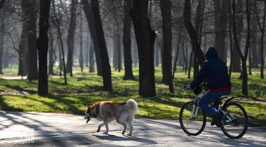  &copy;&nbsp;Фото Елены Синеок, Юга.ру