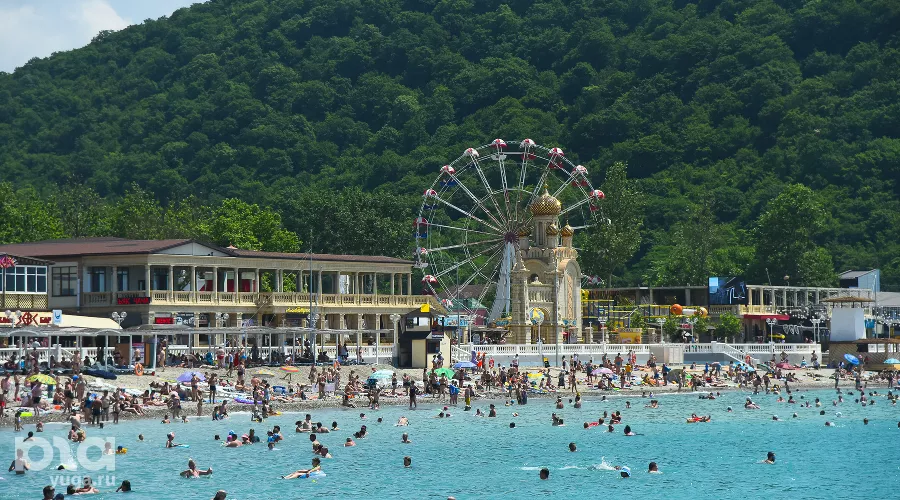  &copy;&nbsp;Фото Елены Синеок, Юга.ру