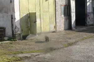  &copy;&nbsp;Фото из инстаграм-аккаунта &laquo;Кубань-СПАС&raquo;, https://www.instagram.com/kubanspas/