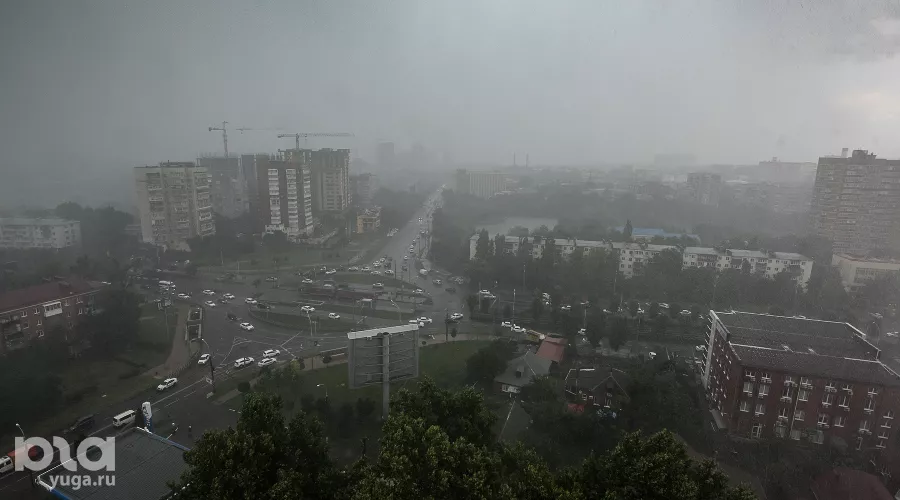  &copy;&nbsp;Фото Елены Синеок, Юга.ру