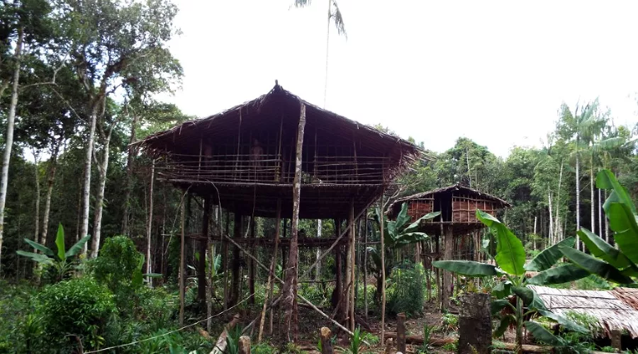  &copy;&nbsp;Фото Максима Богатырева